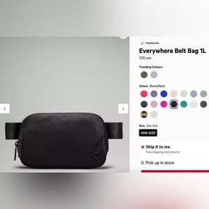 Everywhere Belt Bag